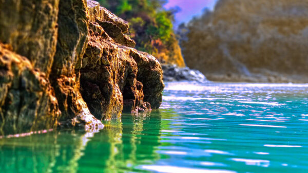 Wallpaper Beach, Closeup, Trees, Rocks, Desktop, Water, Body, Blur, View, Mobile, Ocean, Stones