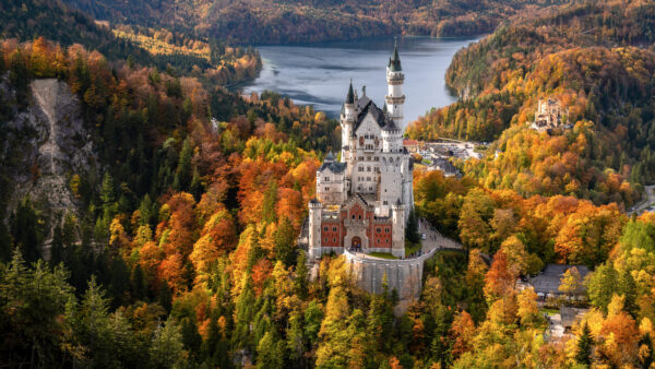 Wallpaper Lake, Castle, Bavaria, Mobile, Covered, Travel, Germany, Desktop, Neuschwanstein, Forest
