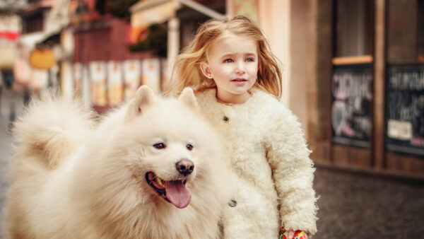 Wallpaper Samoyed, Mobile, Girl, Child, With, Near, Dress, Cute, Desktop, Dog, White