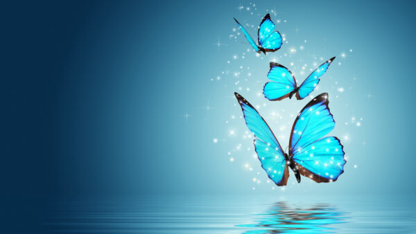 Wallpaper Above, With, Butterflies, Fly, Reflection, Desktop, Butterfly, Body, Water, Blue