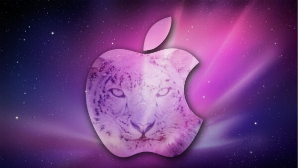 Wallpaper Lion, Desktop, Background, Purple, With, MacBook, Apple, Face