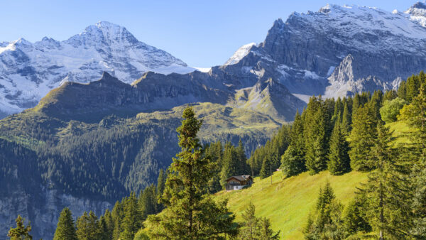 Wallpaper Snow, Grass, Capped, Trees, Green, Background, Desktop, Mountains, Slope, Surrounded, Mobile, And, Nature, House, Field, Greenery