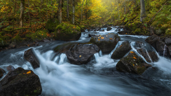 Wallpaper Fall, Desktop, Norway, River, Stone, Season, Forest, And, Nature