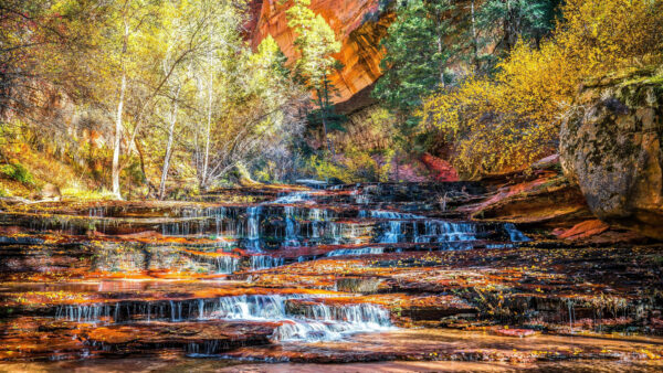 Wallpaper Mobile, Bushes, Desktop, Waterfalls, Plants, Rocks, Autumn, Background, Green, Nature, Mountain, Trees