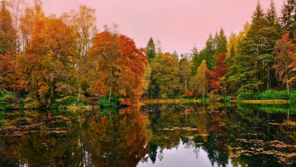 Wallpaper Under, Autumn, Scenery, Sky, Yellow, Pond, Trees, Pink, Green, Reflection, Orange, Beautiful, Lake