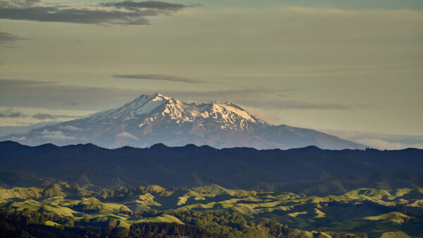 Wallpaper Mountains, Mountain, Landscape, Green, Mobile, Snow, Plants, Bushes, Covered, Field, View, Trees, Desktop