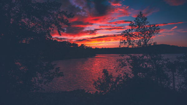 Wallpaper Trees, Nature, Silhouette, Surrounded, Lake, Green, Sky