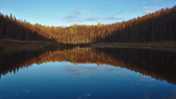 Wallpaper Desktop, Trees, Nature, Colorful, Reflection, Autumn, Landscape, Mobile, View, River, Under, Sky, Blue