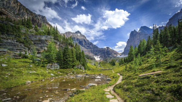 Wallpaper Field, Rock, Green, Slope, Mountains, Blue, Nature, White, Clouds, Swamp, Under, Sky, Trees, Grass