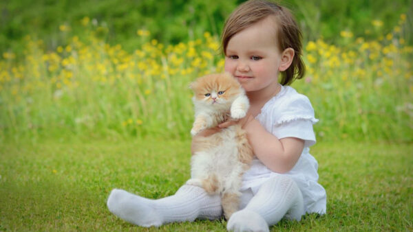 Wallpaper Blur, Girl, Flowers, Green, Wearing, Yellow, Kitten, Dress, Plants, White, Child, Little, With, Background, Grass, Sitting, Cute