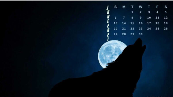 Wallpaper 2021, Calender, Desktop, Background, Moon, June, Wolf