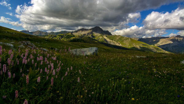 Wallpaper Under, Clouds, White, Sky, Purple, Blue, Field, Slope, Mountains, Beautiful, Nature, Flowers, Lupine, Greenery