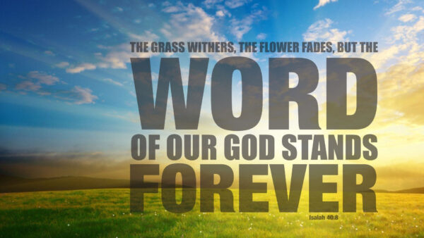 Wallpaper Verse, Stands, Bible, The, Withers, Fades, Our, Grass, Flower, But, Forever, Word, God