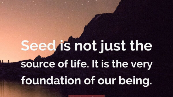 Wallpaper Our, The, Life, Just, Source, Not, Motivational, Very, Foundation, Being, Seed