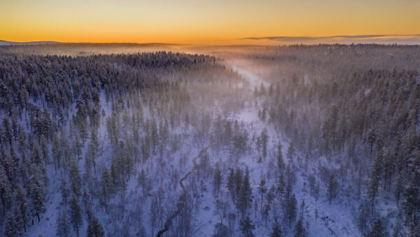 Wallpaper Fog, Nature, With, Snow, During, Aerial, Spruce, River, Sunset, View, Forest, Covered, Trees