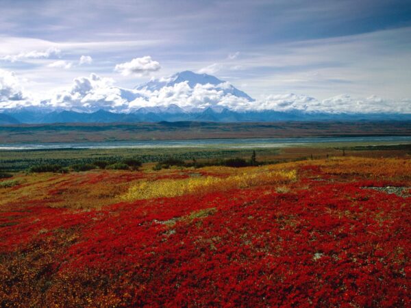 Wallpaper Denali, Park,, Colors, Brilliant, National, Alaska