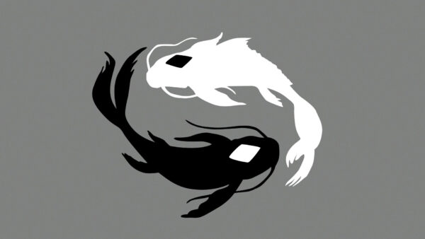 Wallpaper Desktop, Last, White, Black, Anime, Dolphins, Avatar, Airbender