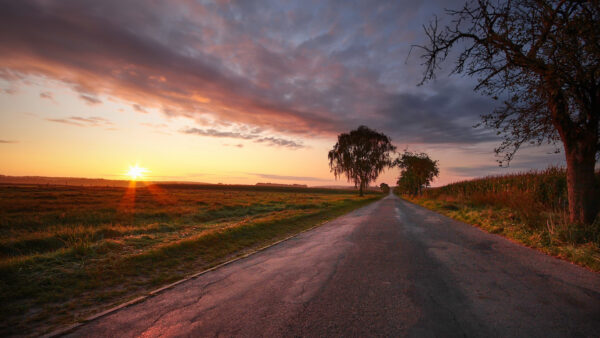 Wallpaper Desktop, Sunset, Sky, Under, Road, And, Cloudy, Trees, During, Field, Between, Nature