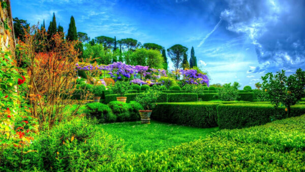 Wallpaper Scenery, Sky, Colorful, Flowers, Garden, Under, Bushes, Beautiful, Blue, Plants, Green, Trees