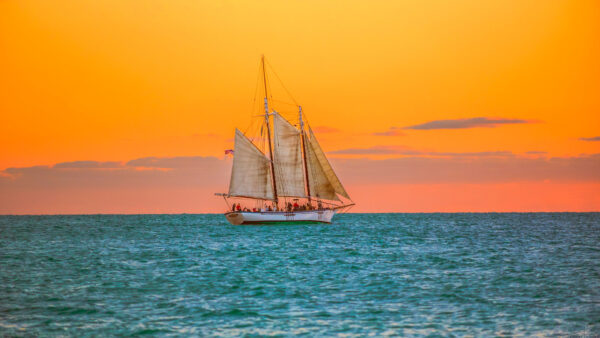 Wallpaper Sailboat, During, And, Desktop, Ocean, Sunset, Nature, Florida