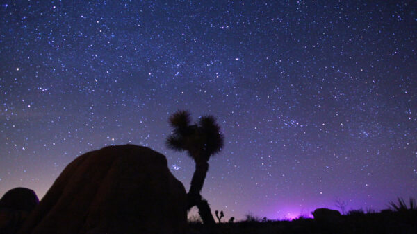 Wallpaper And, Mobile, Under, With, Blue, Desktop, Space, Stars, Tree, Rock, Sky