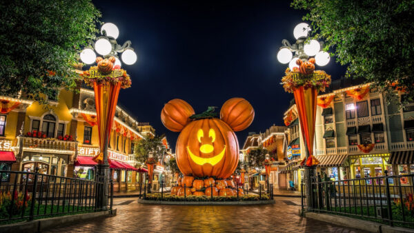 Wallpaper Mouse, Mickey, Land, Disney, Travel, Halloween, Pumpkin