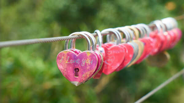 Wallpaper Word, Heart, Love, Locks, With, Colorful, Shape, Rope, Background, Green, You, Blur