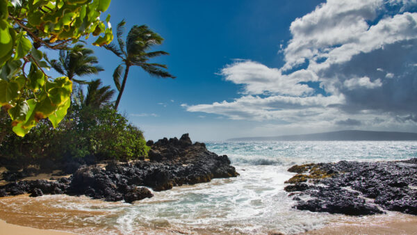 Wallpaper White, Rocks, Blue, Ocean, Stones, Sand, Trees, Mobile, Under, Sky, Desktop, Clouds, Beach, Palm, Nature, Waves