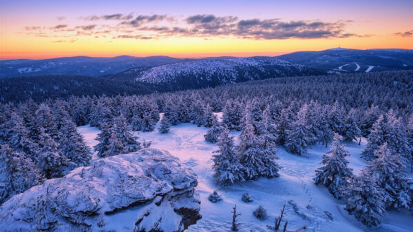 Wallpaper Snow, Forest, Winter, Sunset, Mountain, Landscape
