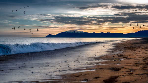 Wallpaper Under, Landscape, Birds, Waves, Blue, Clouds, Snow, Mountains, Black, Desktop, Sand, Sky, Capped, White, Ocean, Beach, View, Mobile