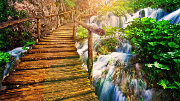 Wallpaper Rocks, Dock, Waterfalls, Wood, Bushes, Plants, Scenery, Between, Green