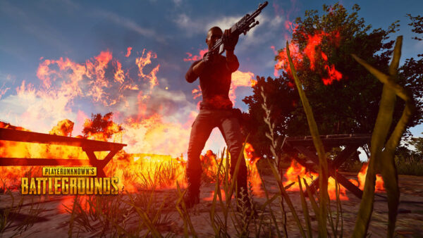 Wallpaper Fight, Desktop, PUBG