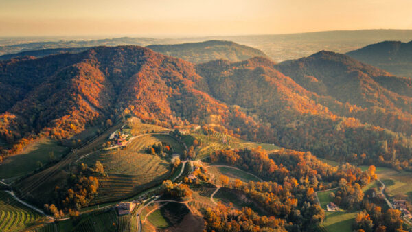 Wallpaper Autumn, Nature, Green, Trees, Leafed, Mountains, Aerial, Yellow, View, Hills