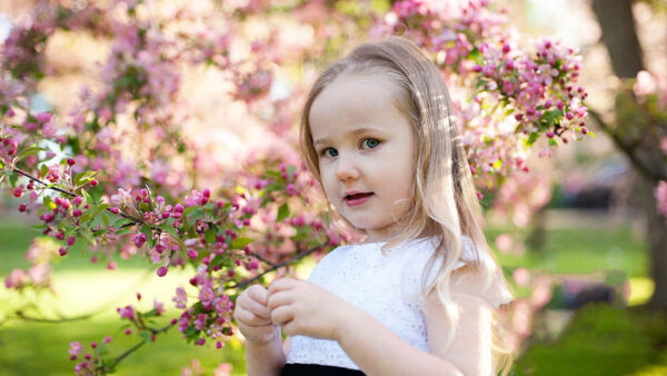 Wallpaper White, Dress, Little, Pink, Blossom, Background, Girl, Desktop, Standing, Wearing, Cute, Flowers
