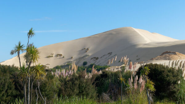 Wallpaper Hill, Nature, Sky, Sand, Under, View, Landscape, Plants, Blue