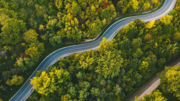 Wallpaper Autumn, Green, Nature, Road, Yellow, Trees, View, Red, Forest, Aerial