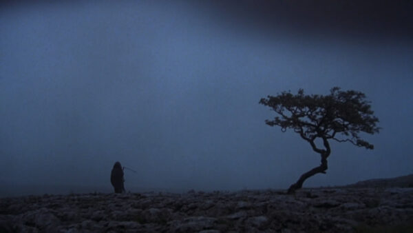 Wallpaper Sky, Rock, Background, Tree, Dark