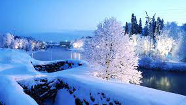 Wallpaper Snnow, Trees, Beautiful, Covered, Frost, Winter, Lake, Scenery