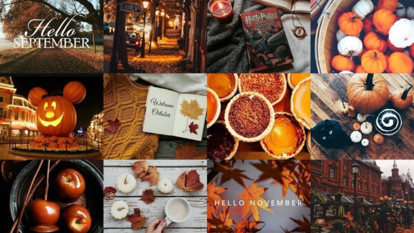 Wallpaper Cookies, Candies, Fall, Leaves, Collage, Disney, Autumn, Pumpkin, Apples