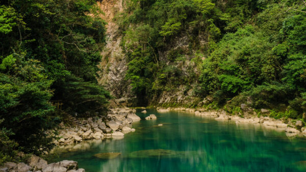 Wallpaper Surrounded, Stones, Lake, Rocks, Mountains, Trees, Background, Nature, Forest, Bushes