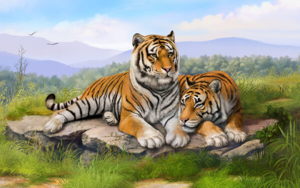 Wallpaper Tigers