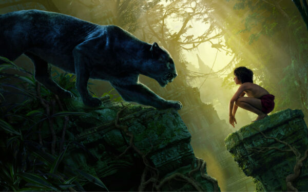 Wallpaper Jungle, Book, Black, Panther, Mowgli, Bagheera