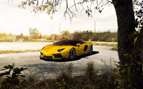 Wallpaper Lamborghini, Aventador, Vorsteiner, Roadster