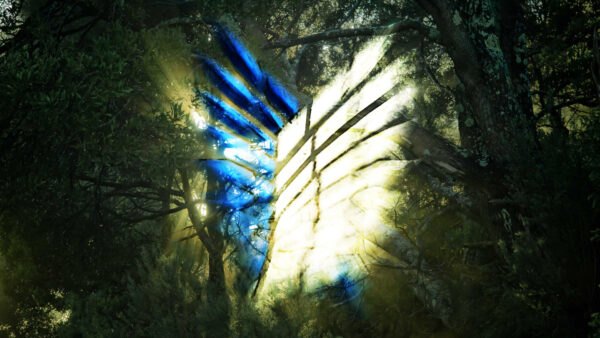 Wallpaper Desktop, Freedom, With, Legion, Center, Scouting, Sunbeam, Background, And, Trees, Wings, Anime, Titan, Attack