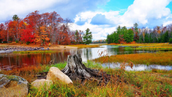 Wallpaper Desktop, Under, Reflection, Trees, Sky, Cloudy, Lake, Colorful, Autumn, Nature, Blue