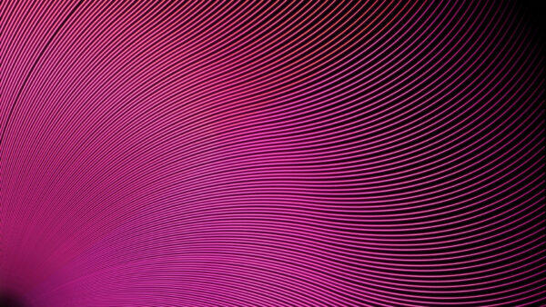 Wallpaper Purple, Lines, Abstract, And, Swirl, Pink, Desktop