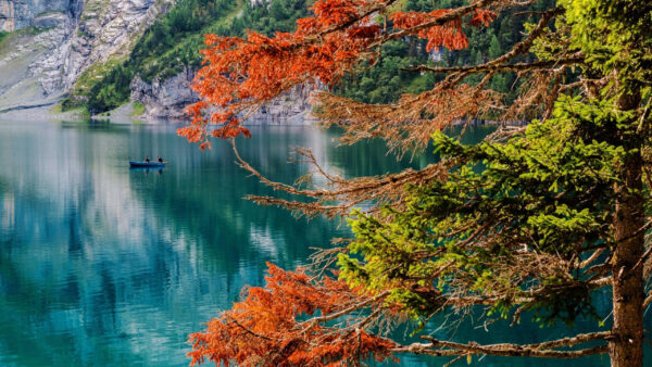Wallpaper Nature, Body, Desktop, Boat, Trees, Background, Beautiful, Orange, Leafed, Green, Scenery, Water, Autumn, Reflection