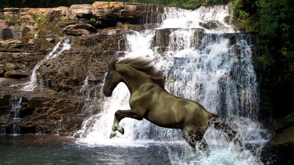 Wallpaper Horse, With, Desktop, Background, Waterfalls