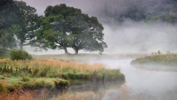 Wallpaper Mountain, Nature, Desktop, Trees, With, And, Fog, Lake, During, Grass, Winter, Around