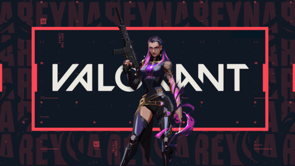 Wallpaper Long, Rifle, Valorant, Reyna, With